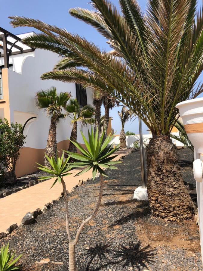 Apartamento Life Complex Amaya Fuerteventura コスタ・デ・アンティグア エクステリア 写真